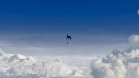 How to Train Your Dragon