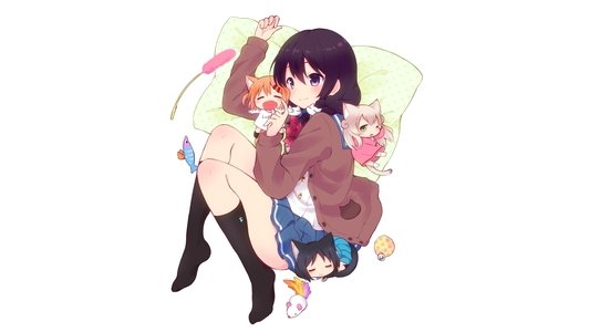 にゃんこデイズ
