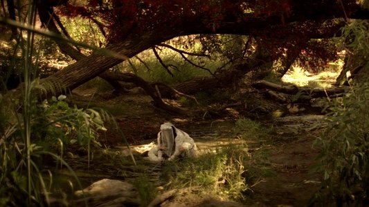 The Curse of La Llorona