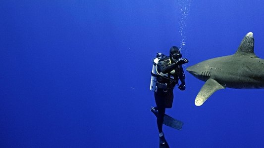World's Most Dangerous Shark?