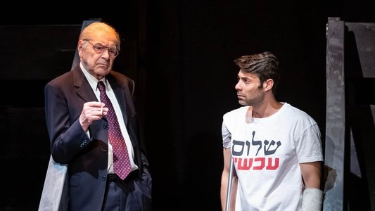מיקי מציל