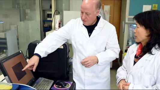 Covid, le secret des origines