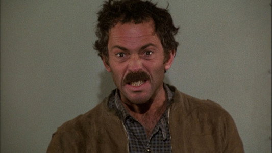 Hill Street Blues