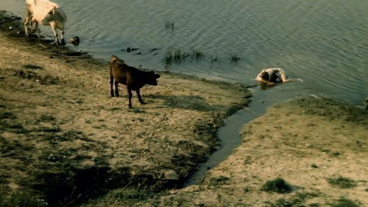 Чужие письма