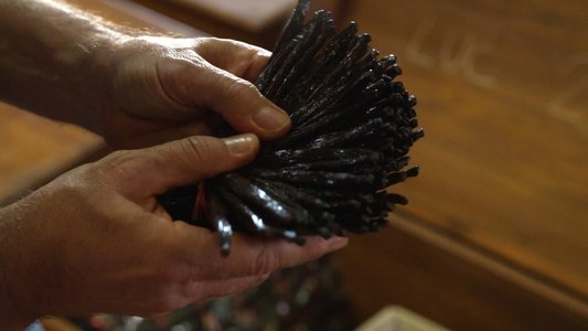 Vanille, les secrets d'un parfum