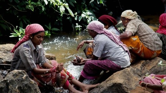 மேற்குத்தொடர்ச்சி மலை