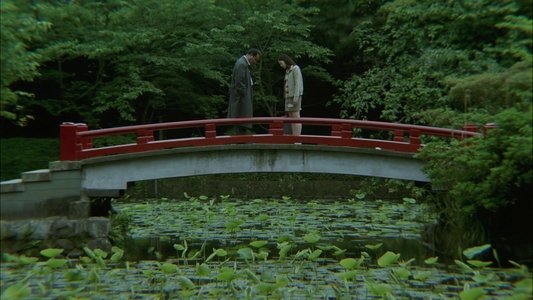 花とアリス