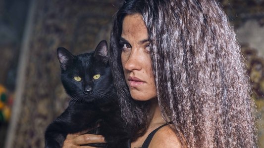 La Gata