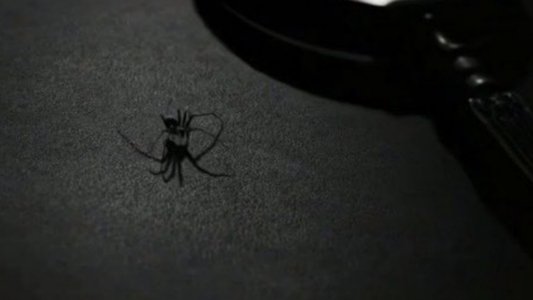Spider-Noir