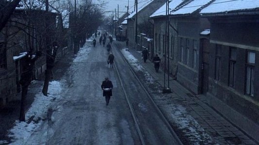 Bizalom