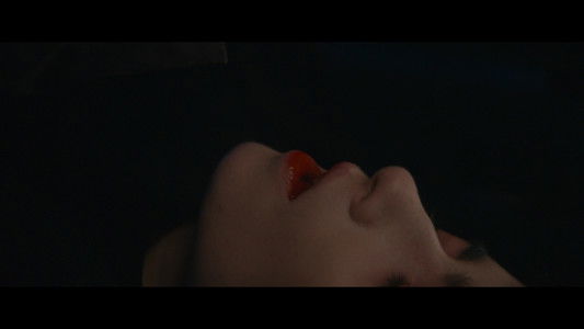 Vampire humaniste cherche suicidaire consentant