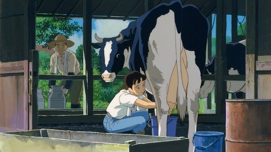おもひでぽろぽろ