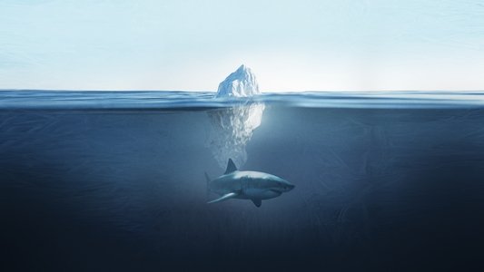 Shark Below Zero