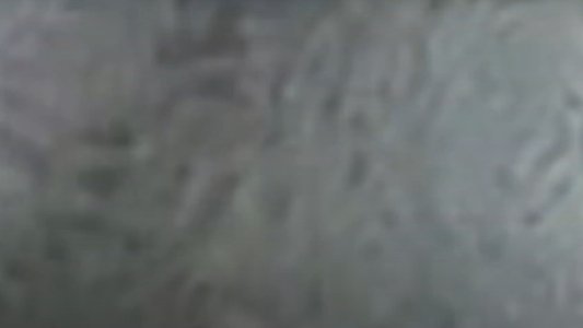 Brower's Blog