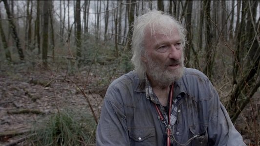Hunting Bigfoot