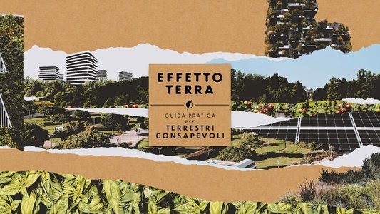 Effetto Terra - Guida pratica per terrestri consapevoli