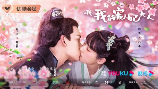 哦，我的宠妃大人