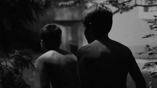 Nus dans les rues la nuit