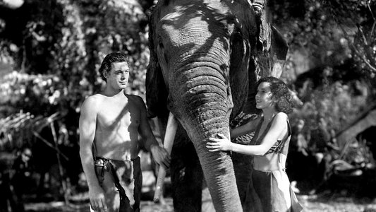 Tarzan and His Mate