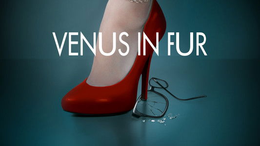 La Vénus à la fourrure