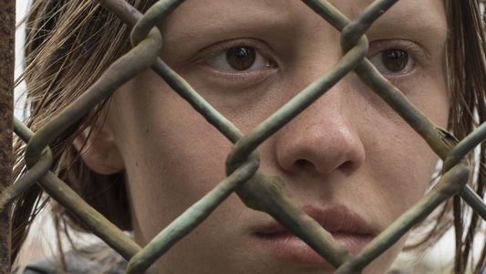 The Survivalist
