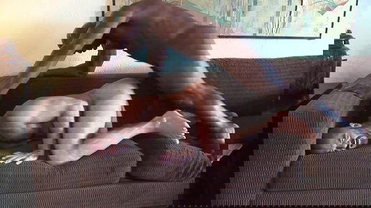 Raw Horsecocks