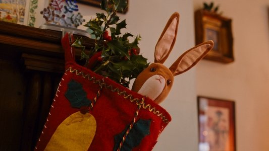 The Velveteen Rabbit