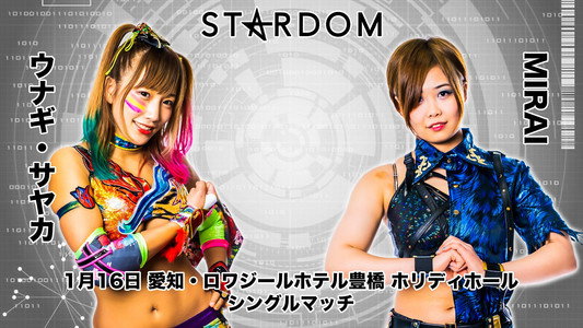 スターダム豊橋大会