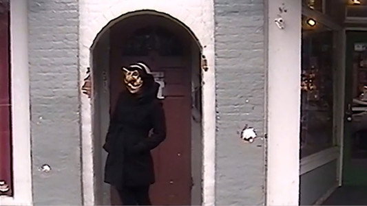 Video Vixen