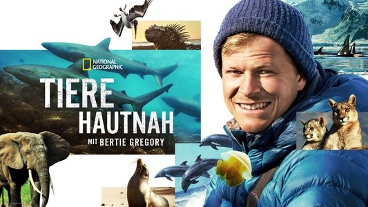 Animals Up Close with Bertie Gregory