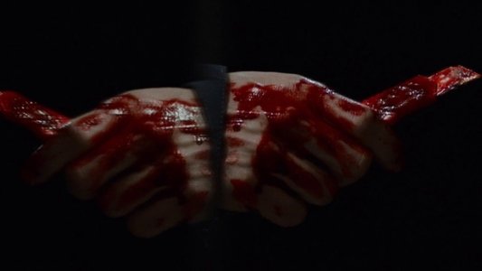 The Guest