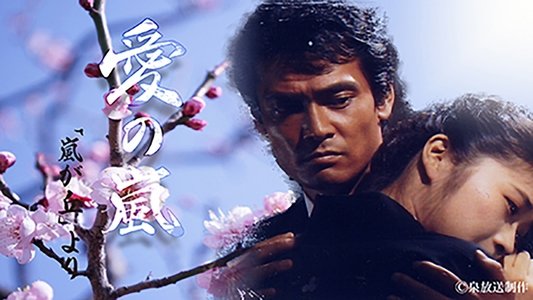 愛の嵐