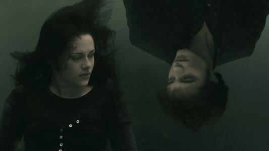 The Twilight Saga: New Moon