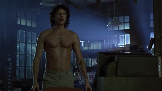 The Fly