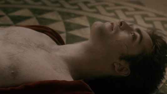 The Twilight Saga: New Moon