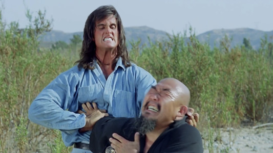 Samurai Cop