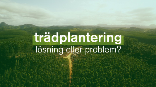 Planter à tout prix - Des arbres pour sauver la planète ?