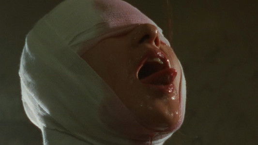 Door II: Tokyo Diary