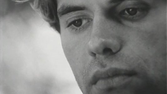 Close Up
