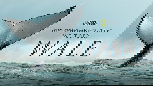 Secrets of the Whales