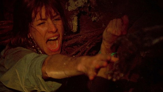The Texas Chainsaw Massacre Part 2