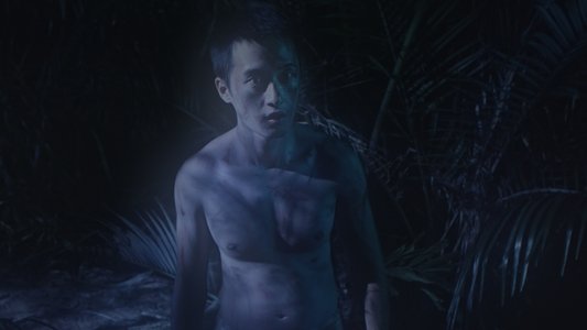 草地火焰