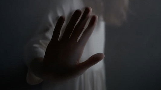 The Vanishing Princess