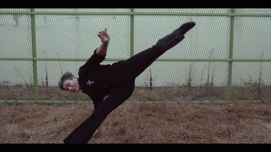 전설의 파이터