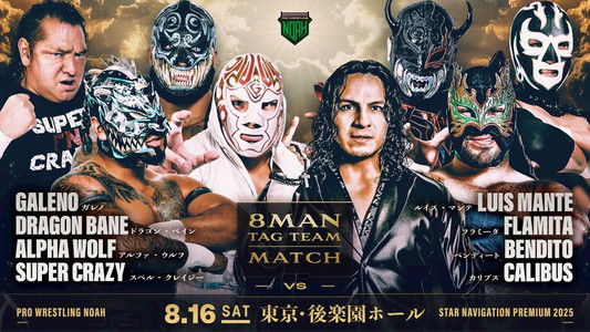 NOAH Star Navigation Premium 2025 #4