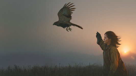 H Is for Hawk