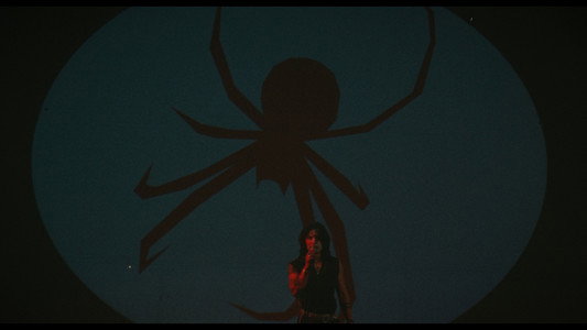 REX SPIDER