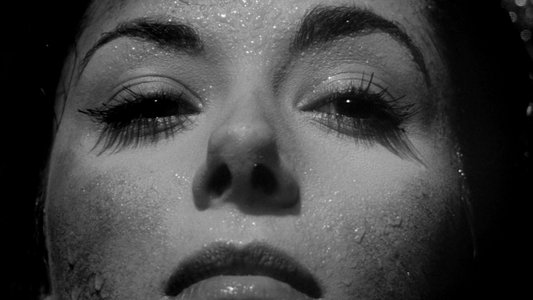 Invasion of the Body Snatchers