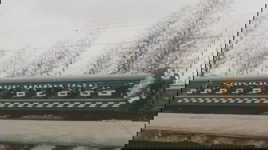 Бакенбарды