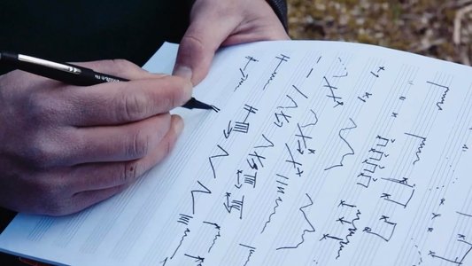 Langue des oiseaux